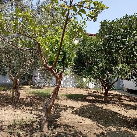 בית הארחה Stanze Vicino Al Mare - Miraka 3*